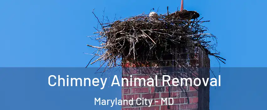 Chimney Animal Removal Maryland City - MD