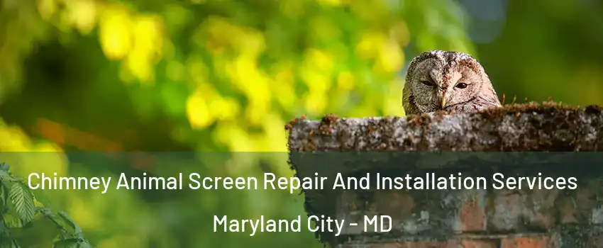  Chimney Animal Screen Repair And Installation Services Maryland City - MD
