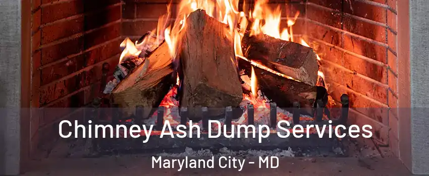  Chimney Ash Dump Services Maryland City - MD