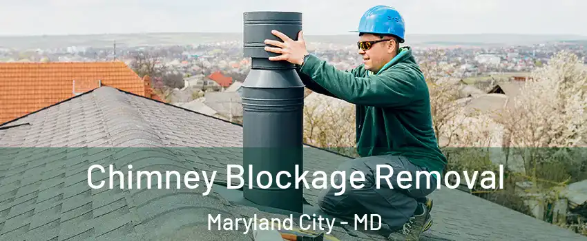  Chimney Blockage Removal Maryland City - MD