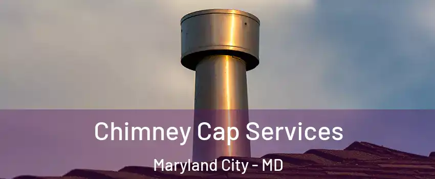  Chimney Cap Services Maryland City - MD