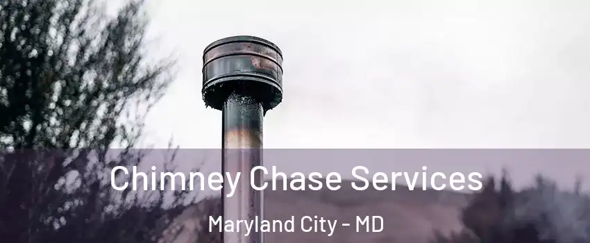  Chimney Chase Services Maryland City - MD