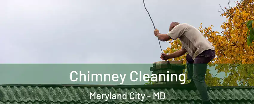 Chimney Cleaning Maryland City - MD