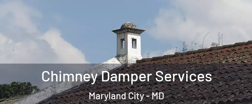  Chimney Damper Services Maryland City - MD