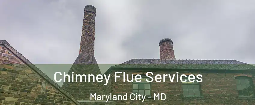  Chimney Flue Services Maryland City - MD