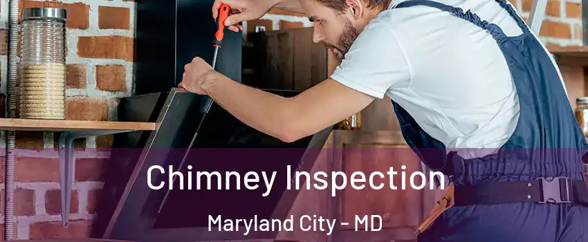 Chimney Inspection Maryland City - MD