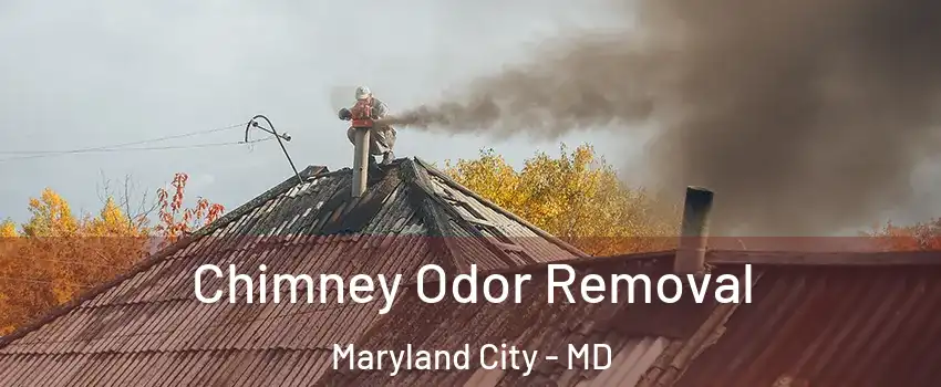  Chimney Odor Removal Maryland City - MD