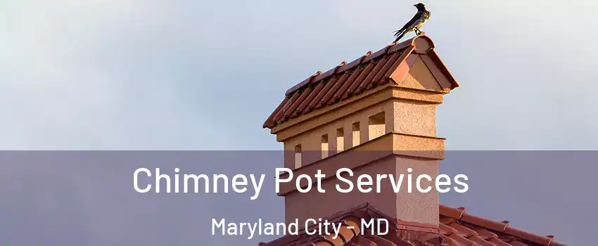  Chimney Pot Services Maryland City - MD