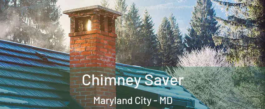  Chimney Saver Maryland City - MD