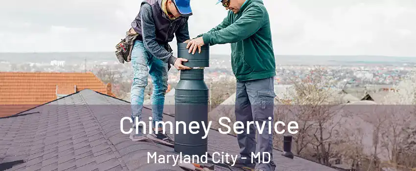  Chimney Service Maryland City - MD