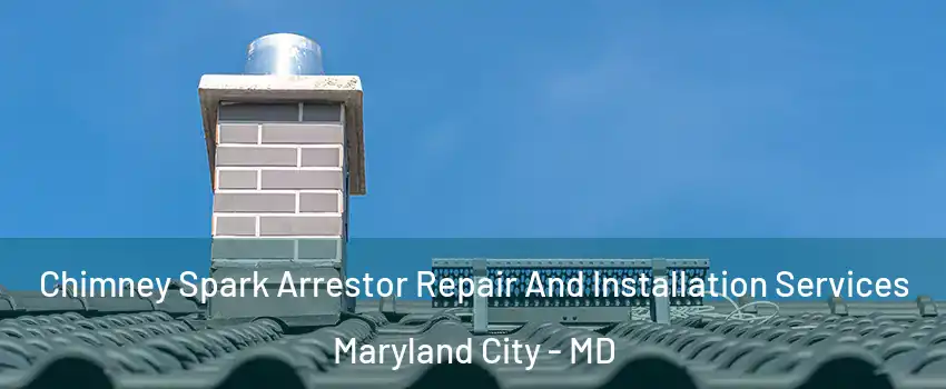  Chimney Spark Arrestor Repair And Installation Services Maryland City - MD