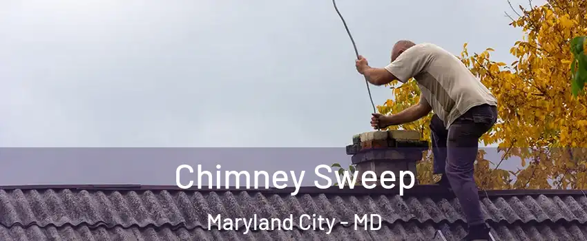  Chimney Sweep Maryland City - MD