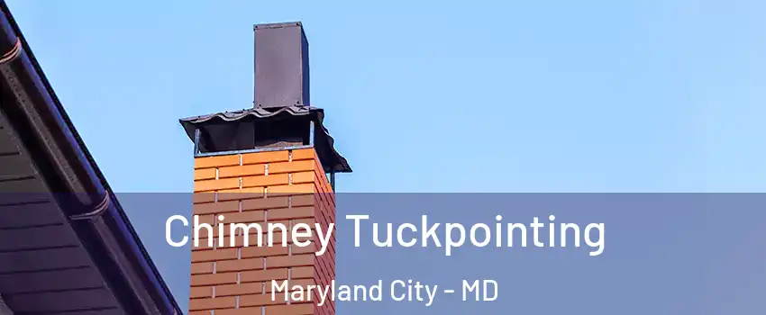  Chimney Tuckpointing Maryland City - MD