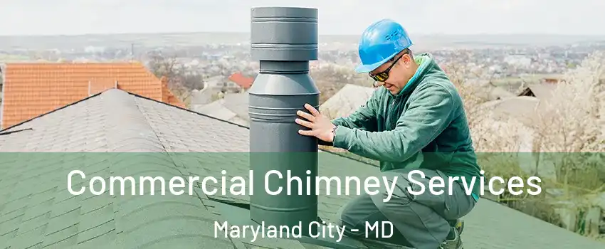 Commercial Chimney Services Maryland City - MD