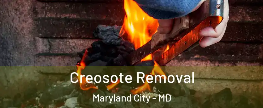  Creosote Removal Maryland City - MD