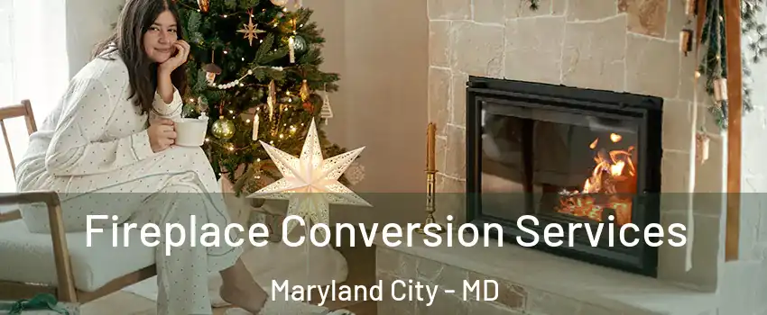  Fireplace Conversion Services Maryland City - MD