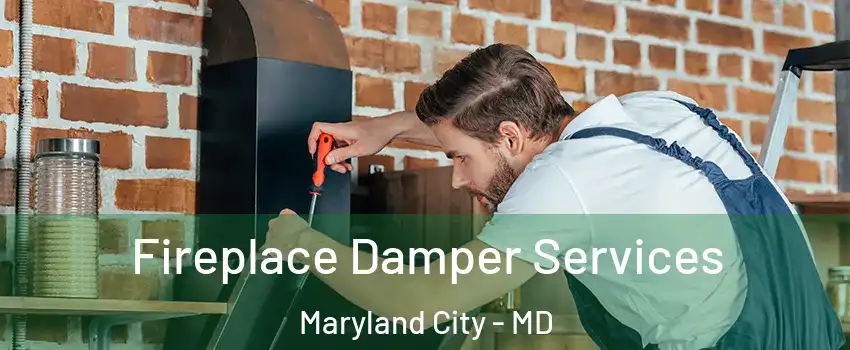  Fireplace Damper Services Maryland City - MD