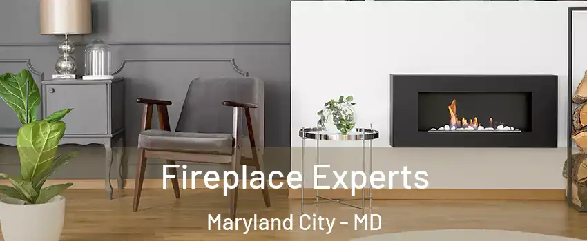  Fireplace Experts Maryland City - MD