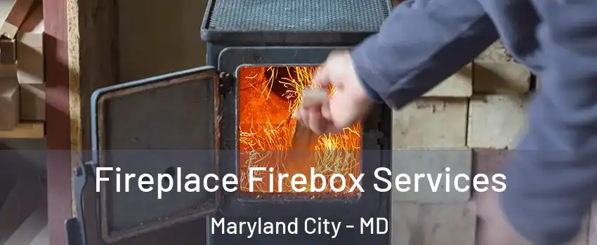  Fireplace Firebox Services Maryland City - MD