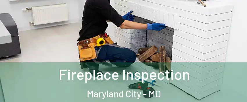  Fireplace Inspection Maryland City - MD
