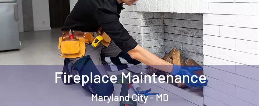  Fireplace Maintenance Maryland City - MD