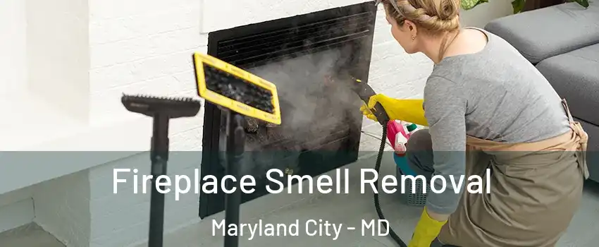  Fireplace Smell Removal Maryland City - MD