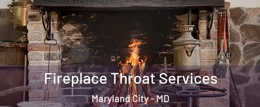 Fireplace Throat Services Maryland City - MD