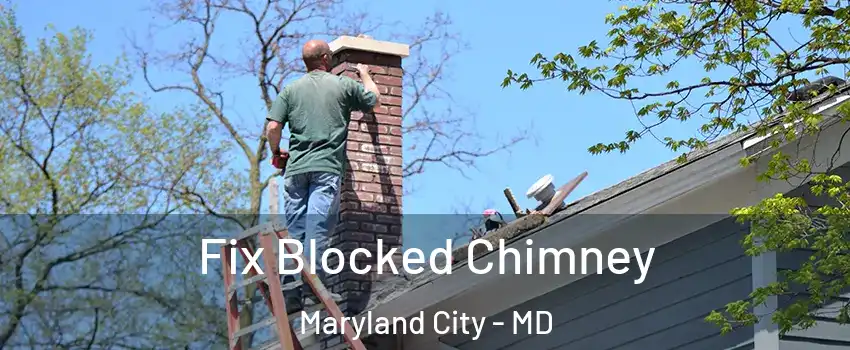 Fix Blocked Chimney Maryland City - MD