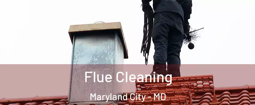  Flue Cleaning Maryland City - MD
