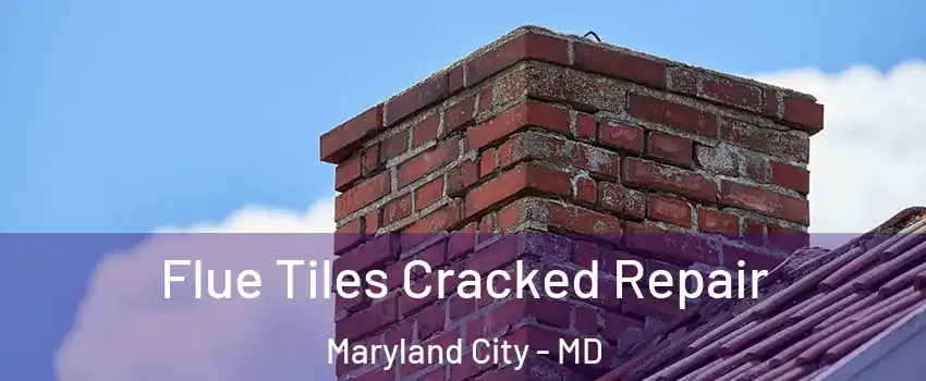 Flue Tiles Cracked Repair Maryland City - MD