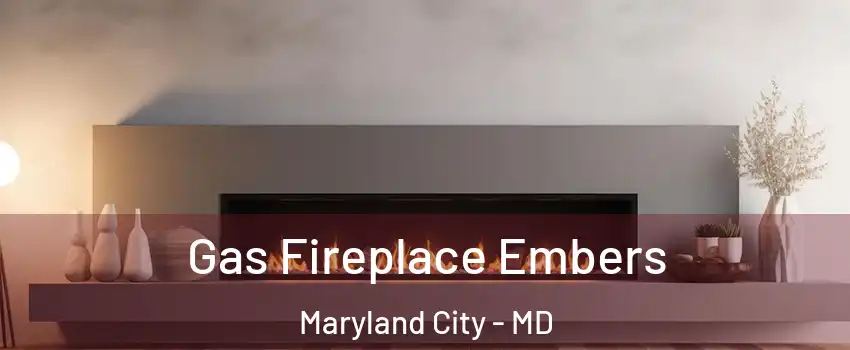  Gas Fireplace Embers Maryland City - MD