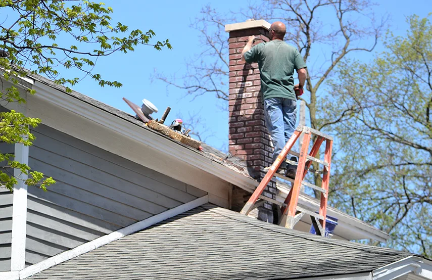 Chimney & Fireplace Inspections Services in Maryland City, MD