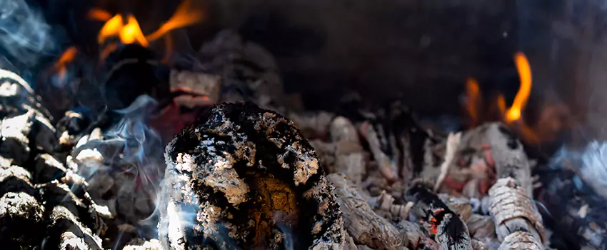 Creosote Removal Experts in Maryland City, MD