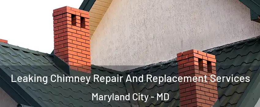  Leaking Chimney Repair And Replacement Services Maryland City - MD