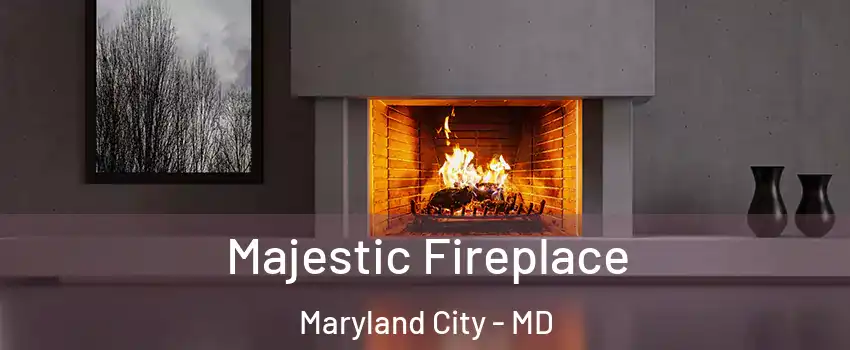  Majestic Fireplace Maryland City - MD