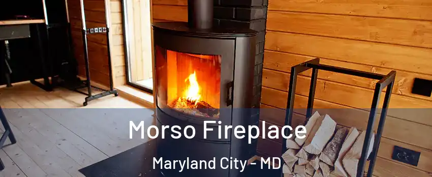  Morso Fireplace Maryland City - MD