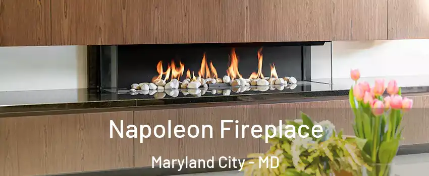  Napoleon Fireplace Maryland City - MD