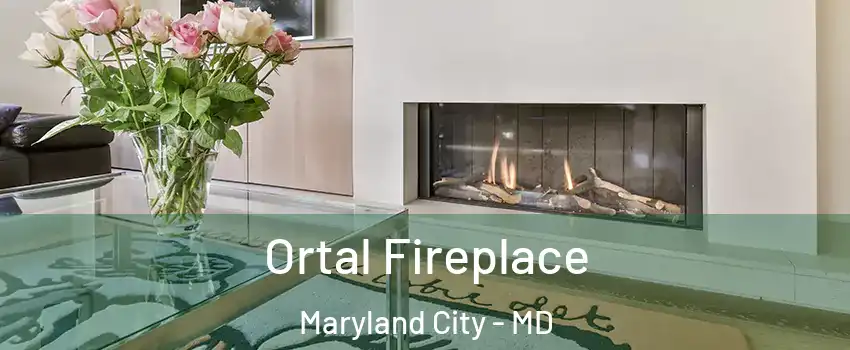  Ortal Fireplace Maryland City - MD