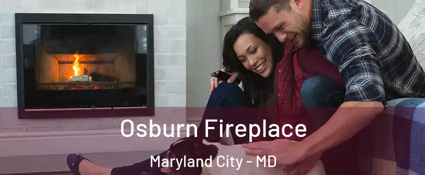  Osburn Fireplace Maryland City - MD