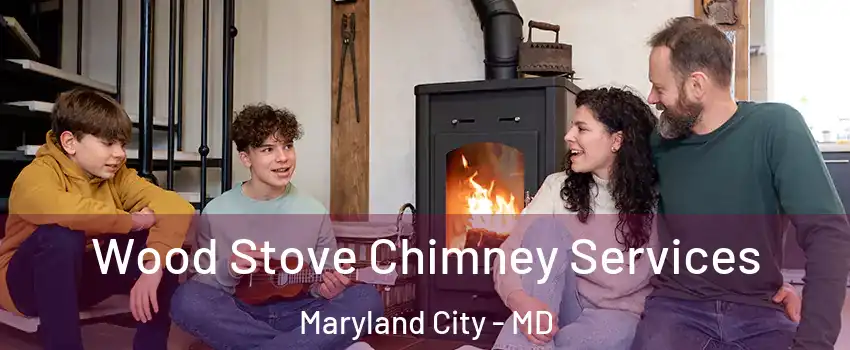 Wood Stove Chimney Services Maryland City - MD
