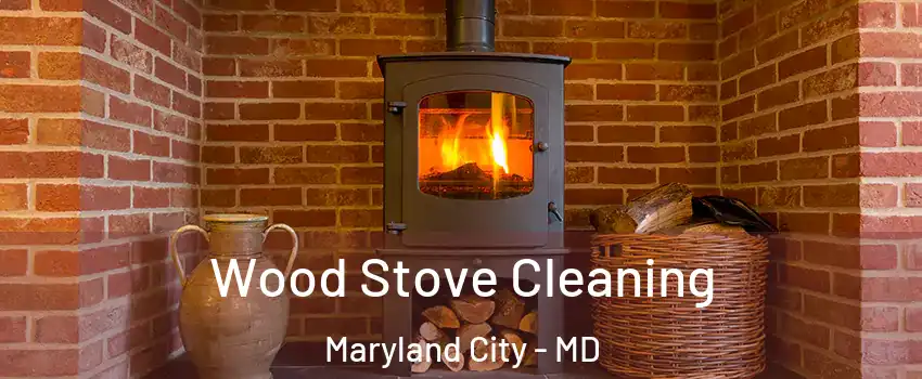  Wood Stove Cleaning Maryland City - MD